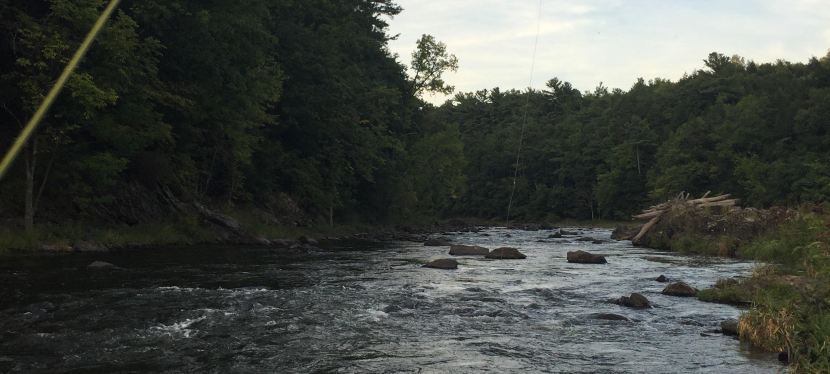 What do you&nbsp;find?